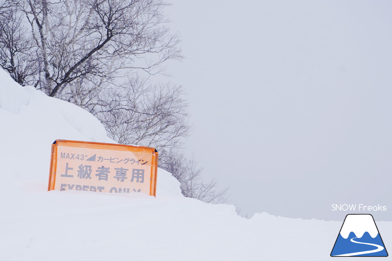 記録的大雪となった夕張マウントレースイは、午後からでもパウダー天国!!